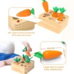 Montessori Carrot Set - Image 2