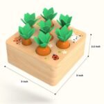 Montessori Carrot Set - Image 3