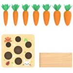 Montessori Carrot Set - Image 4