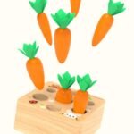 Montessori Carrot Set - Image 5