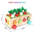 Montessori Farm Harvest Set - Image 6
