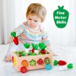 Montessori Farm Harvest Set - Image 4