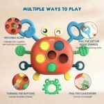 Montessori Crab Explorer - Image 2