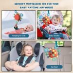 Montessori Crab Explorer - Image 4
